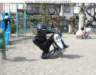 Photo Number 6
